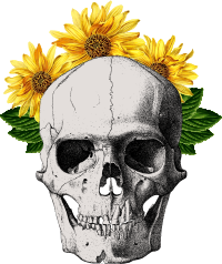 Sunflower Skull