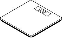 Scale