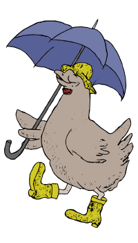 Chicken with an Umbrella