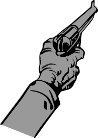First Person Gun