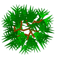 Simple Tree in Top View