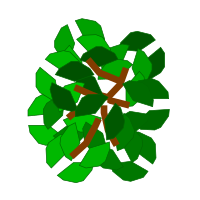 Simple Tree in Top View