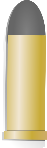 Bullet