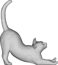 Stretching Cat 3D
