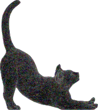 Stretching Cat 3D Wireframe Colorful With Silhouette