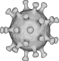 Coronavirus 3D