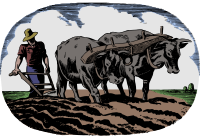 Classic Farmer - Colour Remix