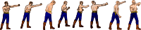 Boxer