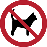 No cats