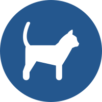 Mandatory Cats