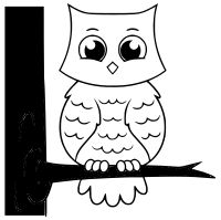 Owl Image