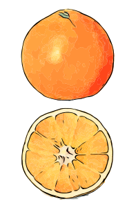 Orange Slice