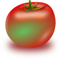 Unripe Tomato