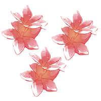 sacuanjoche flor