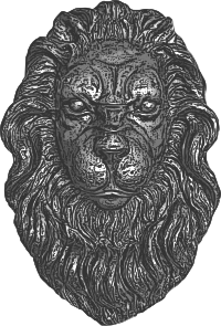 3D Lion face