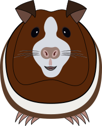 Guinea pig synthesis