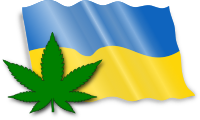 Legal Medical Marijuana in Ukraine