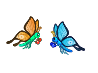 Boxing Butterflies