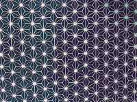 Traditional Japanese Pattern