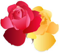 Minden Roses
