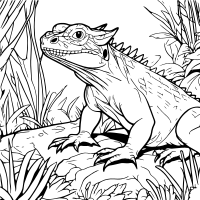 Tuatara