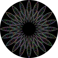The Mandala Effect II