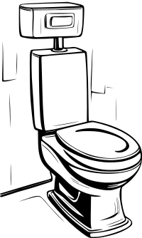 Toilet