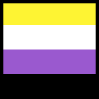 Non-binary pride flag square black border