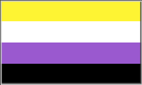 Non-binary pride flag with gray grooved border in original shape 