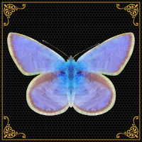 Blue Butterfly - Low Poly