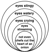 onion diagram example in white 