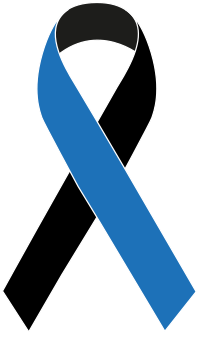 awareness ribbon two color