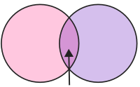 overlap venn diagram pink purple 