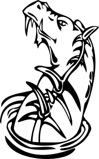 black dragon