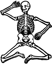 Articulated Skeleton