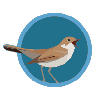 Nightingale