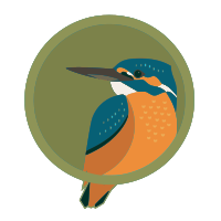 Kingfisher