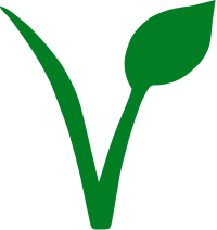 Vegan v plant leaf seed green icon