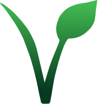 Vegan v gradient effect alternative 
