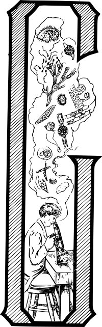 Drop Cap G
