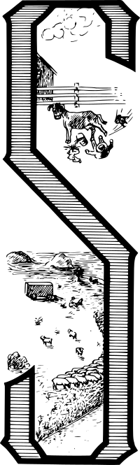 Drop Cap S
