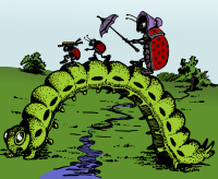 Caterpillar Bridge - Colour Remix