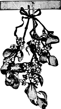 Mistletoe