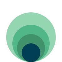 4 layer green onion diagram 