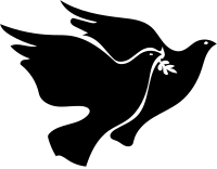 Two black doves flying with olive branch 