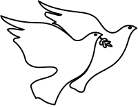 Two white peace doves together with olive branch 