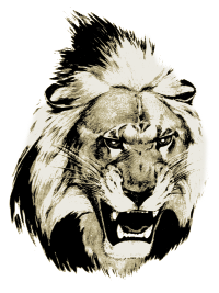Lion Head