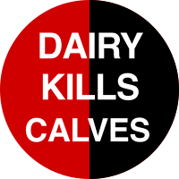Dairy kills calves vegan badge - google it