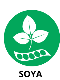 Soya allergen icon with green circle