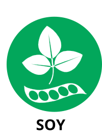 Soy allergy warning with green circle